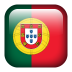 Portuguese Flag